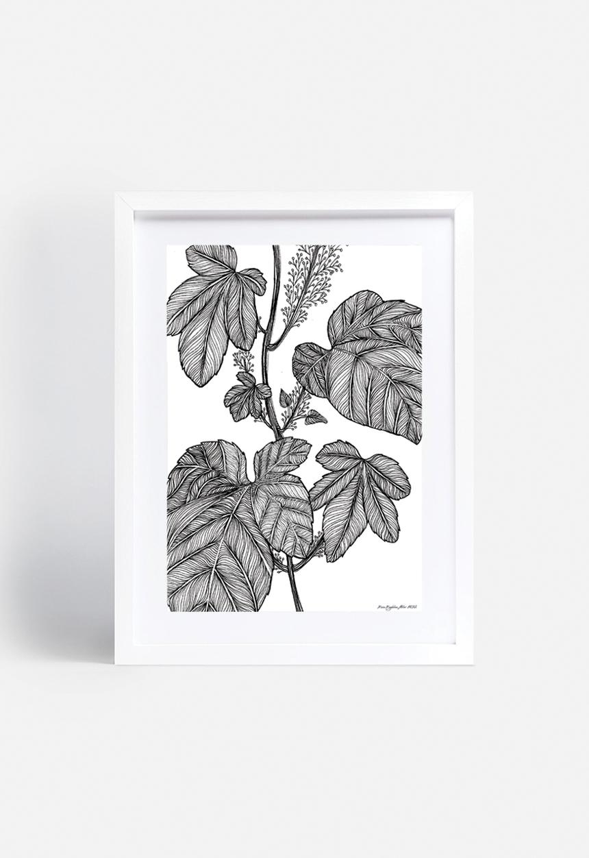 Maria Magdalena Van Wyk - Foliage