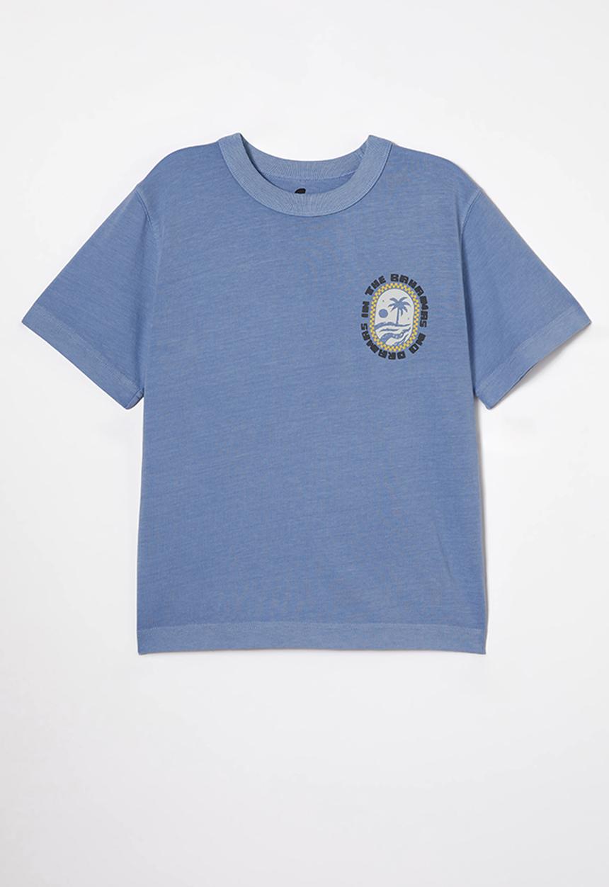 Cotton On - Jonny short sleeve graphic print tee - dusk blue