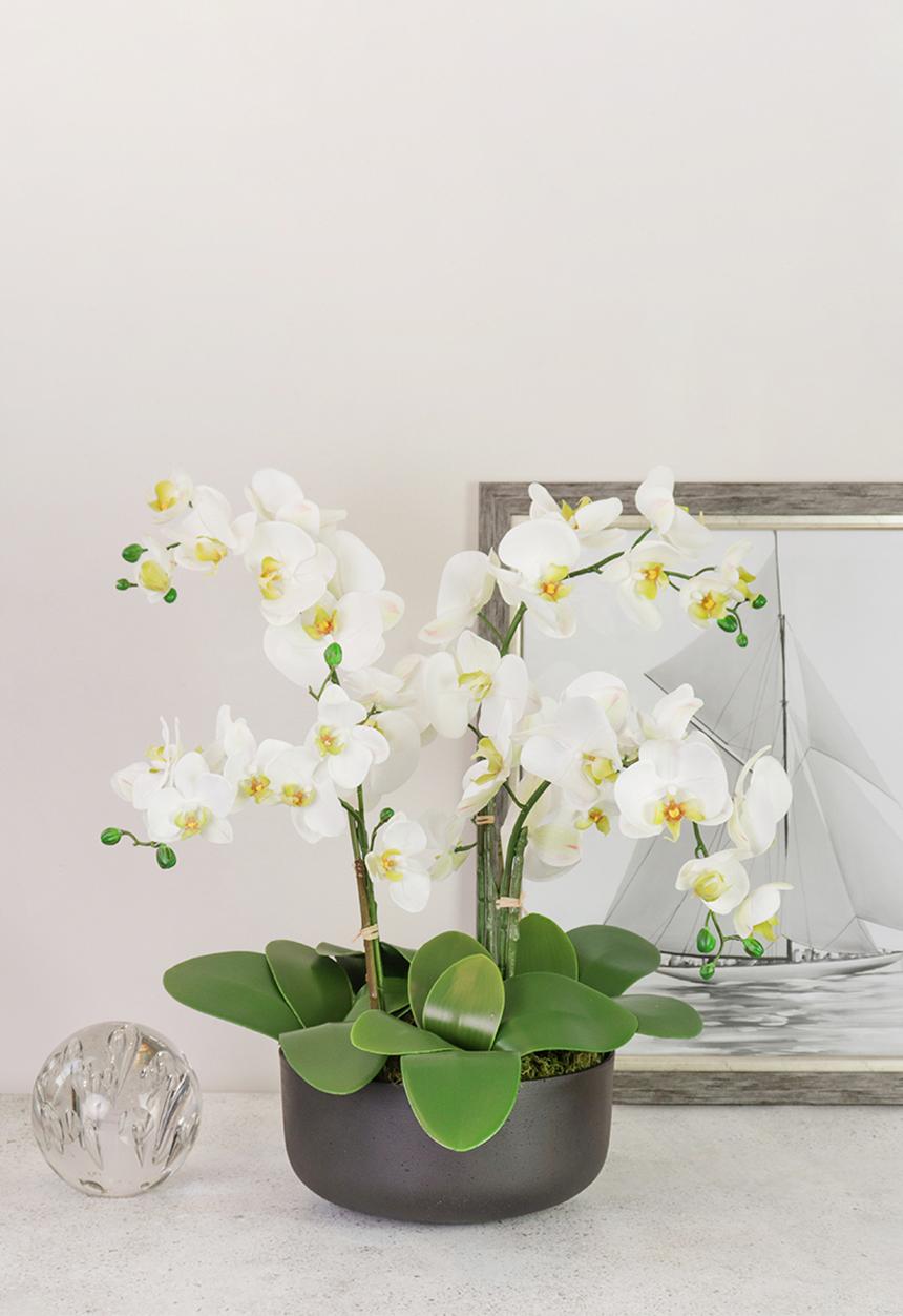 Silk By Design - 4  Stem phalaenopsis orchid arrangement - white