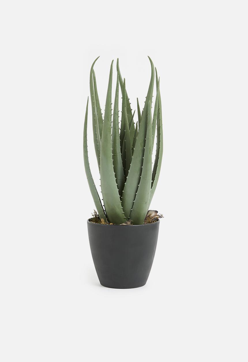 H&S - Artificial Potted Aloe - green & black