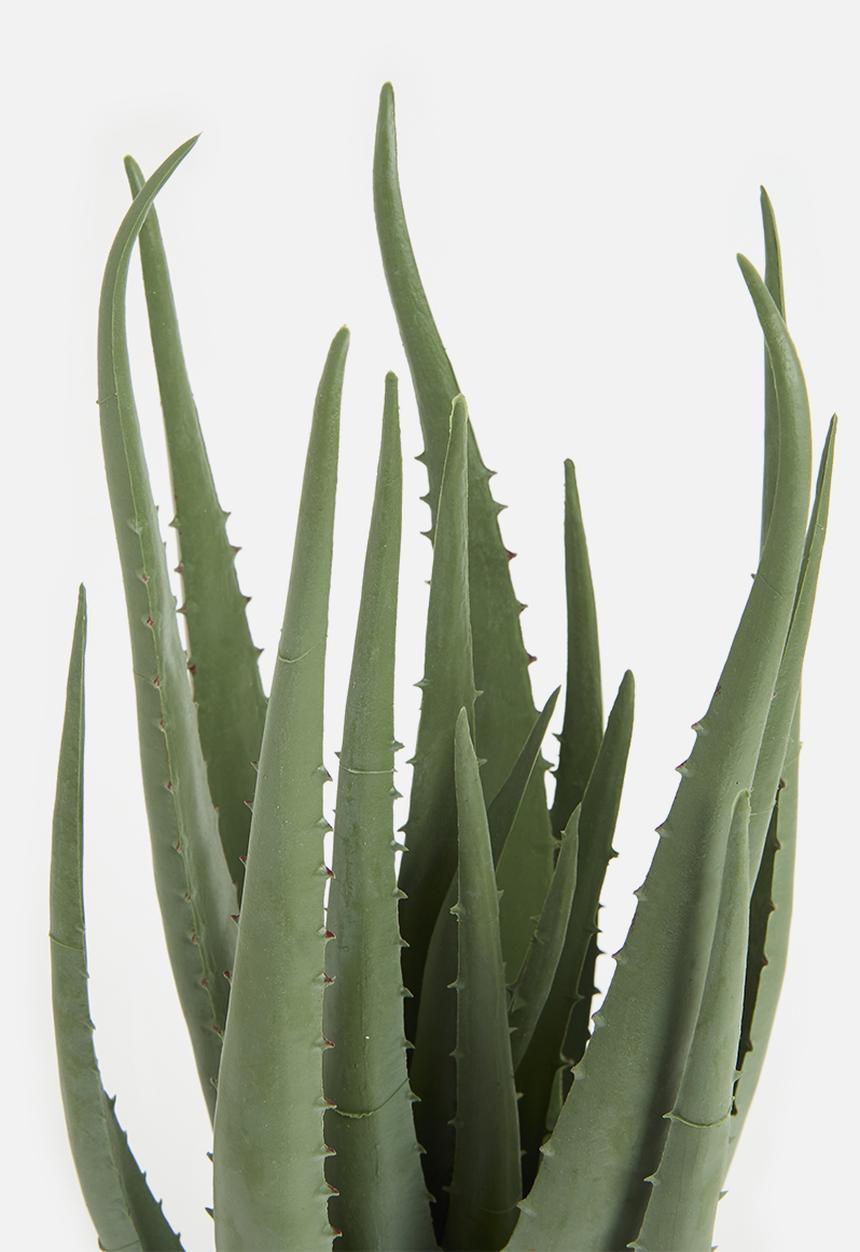 H&S - Artificial Potted Aloe - green & black