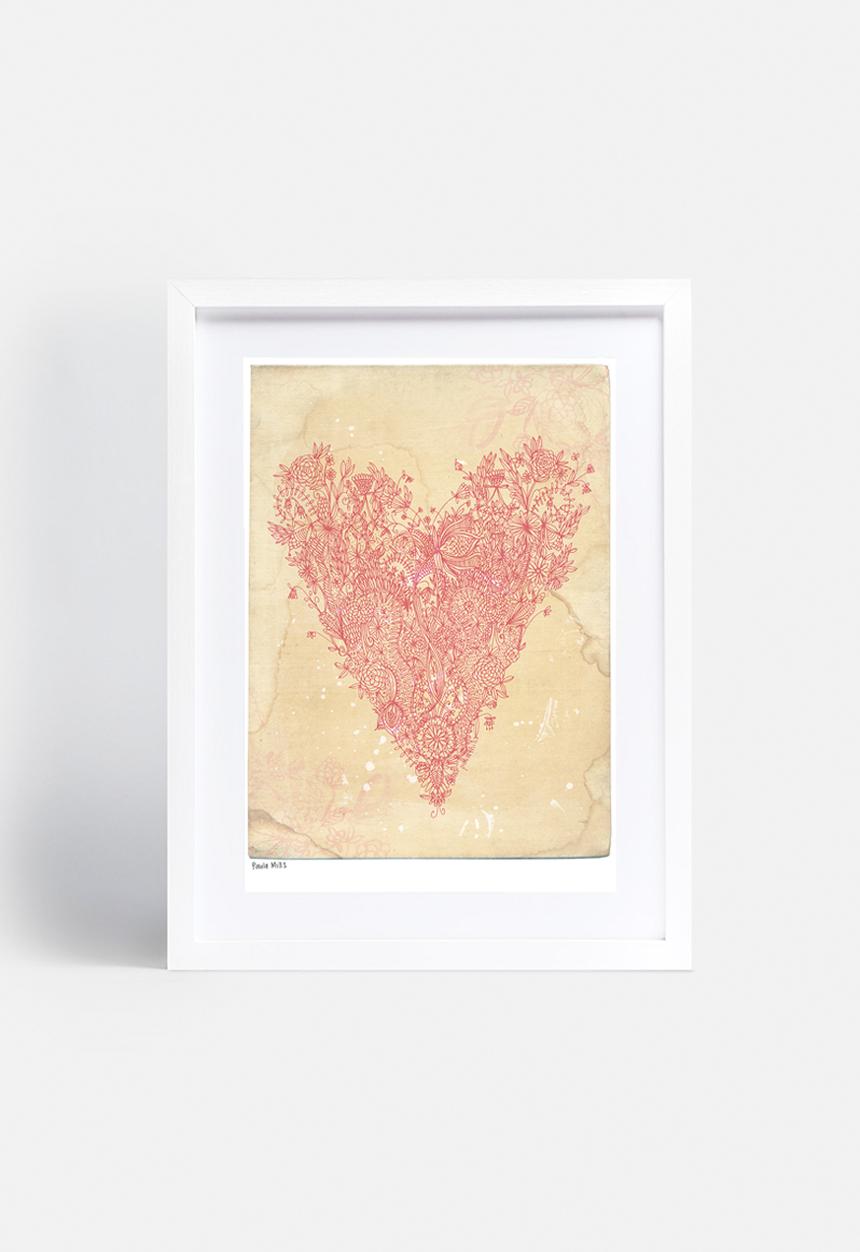 Sweet William - Love Art