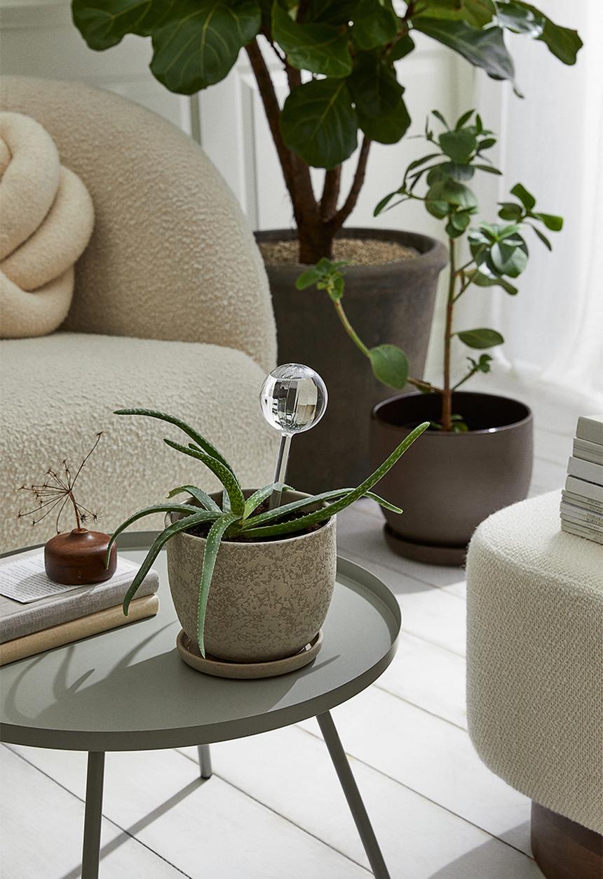H&M - Watering globe - transparent