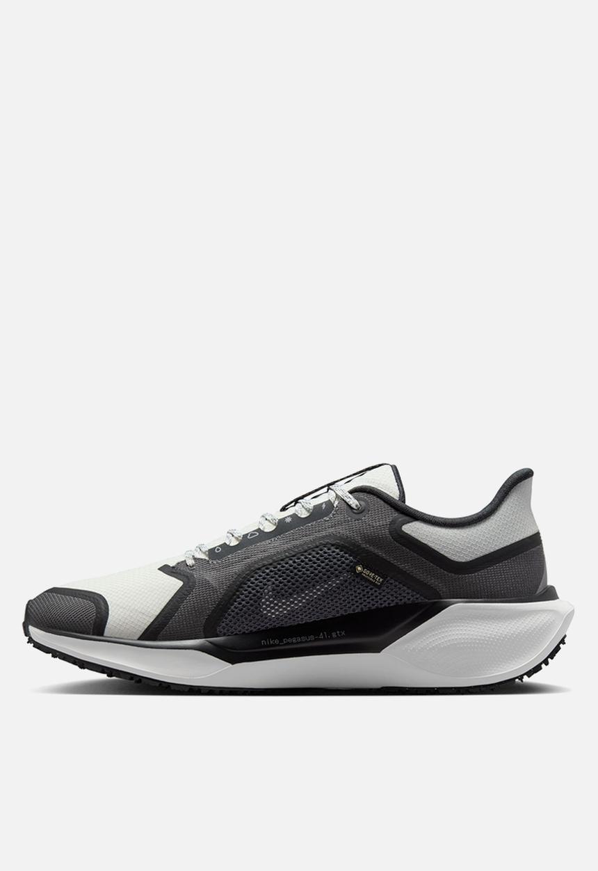 Nike - Nike Pegasus 41 GORE-TEX
