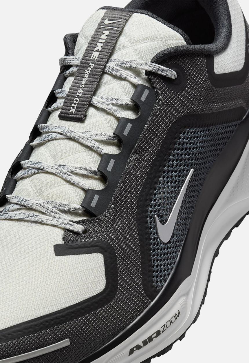 Nike - Nike Pegasus 41 GORE-TEX