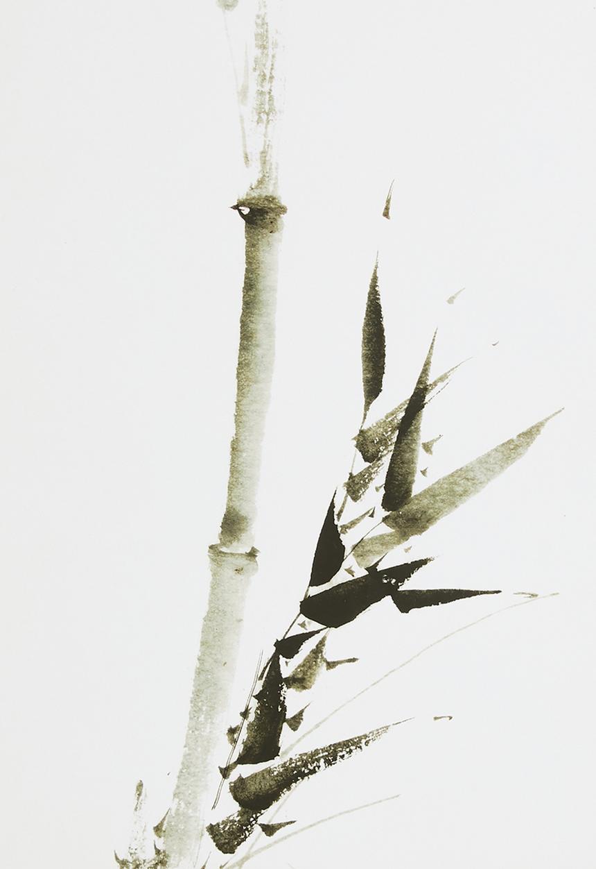 MJ Design Studio - Ink Wash Bamboo Set of 2 Wall Art