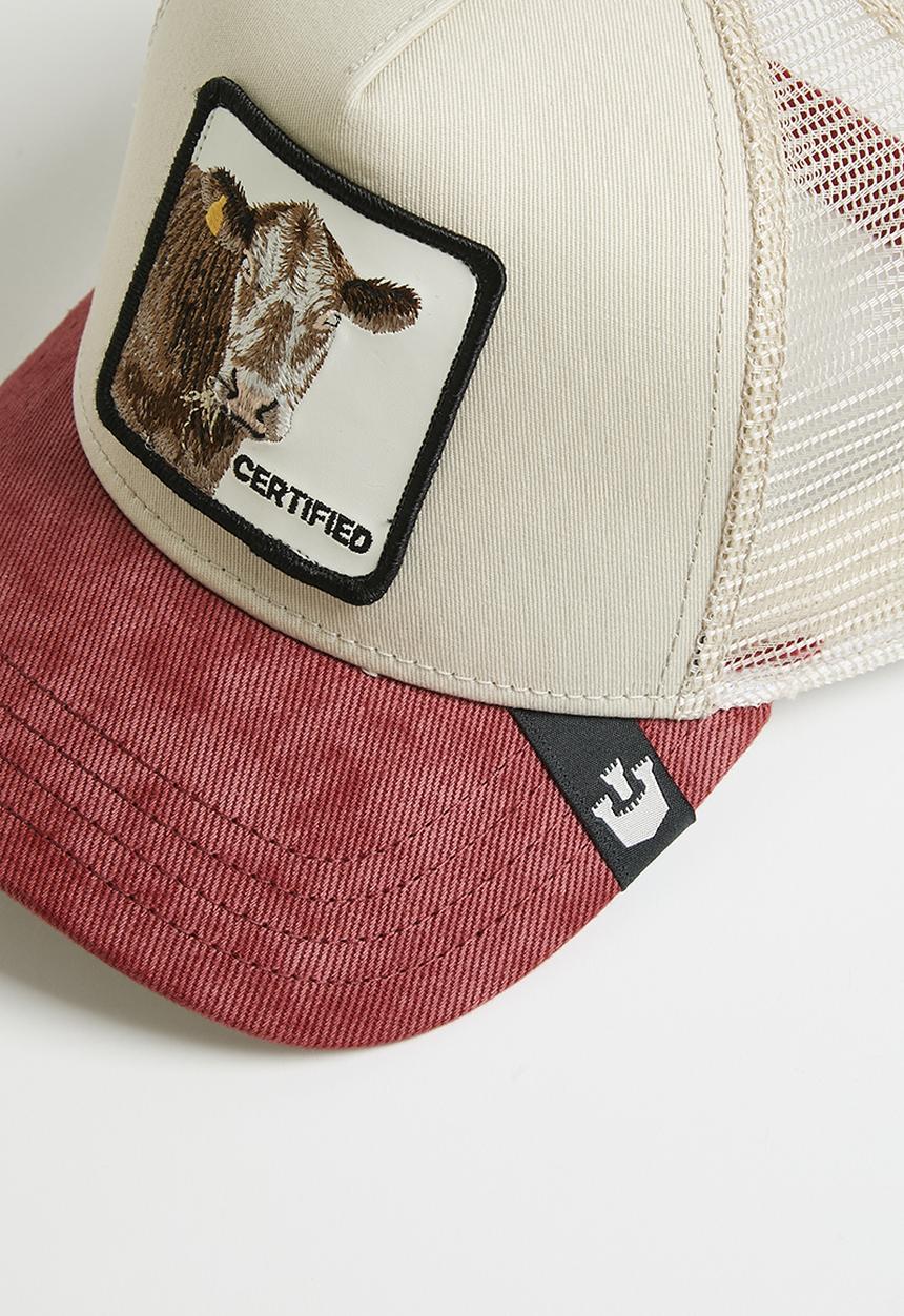 Goorin Bros. - Goorin the certified cow trucker s24 - beige & red