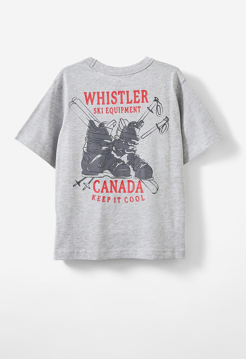 Cotton On - Jonny short sleeve print tee - fog grey marle/whistler canada