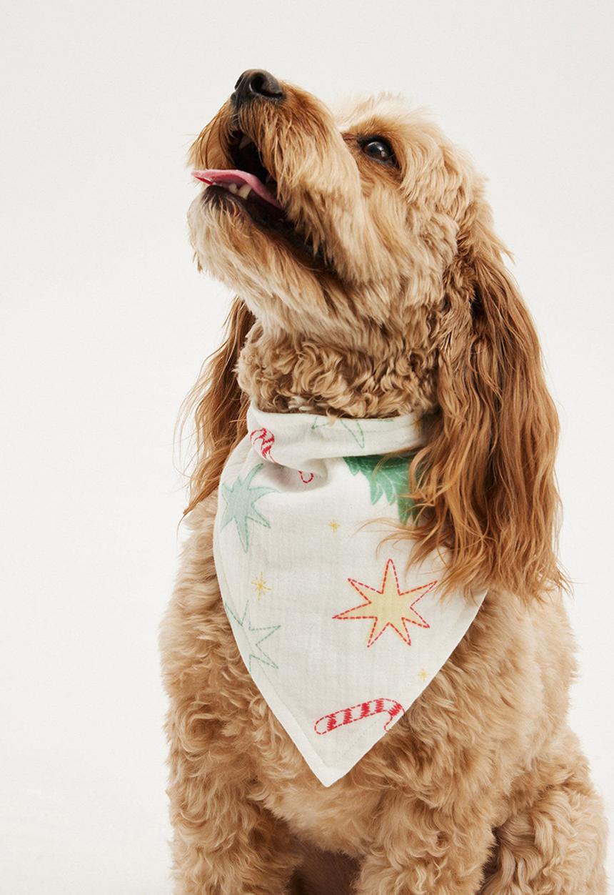 Cotton On - Pet bandana - vanilla/christmas motifs