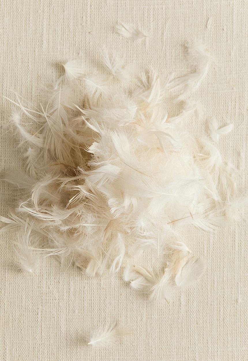 H&M - Feather-filled inner cushion - white
