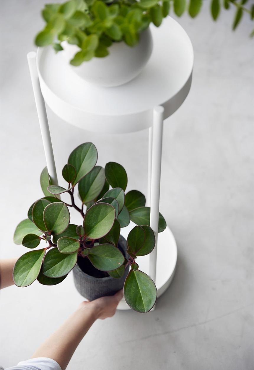 Yamazaki - TOWER 2-TIERED PLANT STAND WITH CASTER WHITE