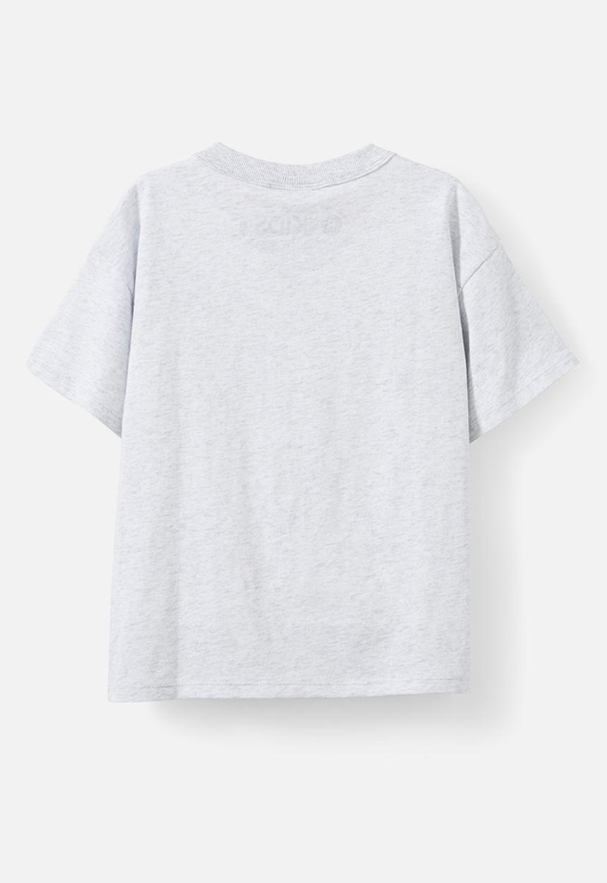 Cotton On - License drop shoulder short sleeve tee - lcn nic snow marle/tmnt raphael