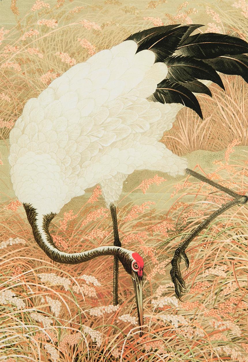 MJ Design Studio - Sarus Crane In Rice Field Canvas Wall Art