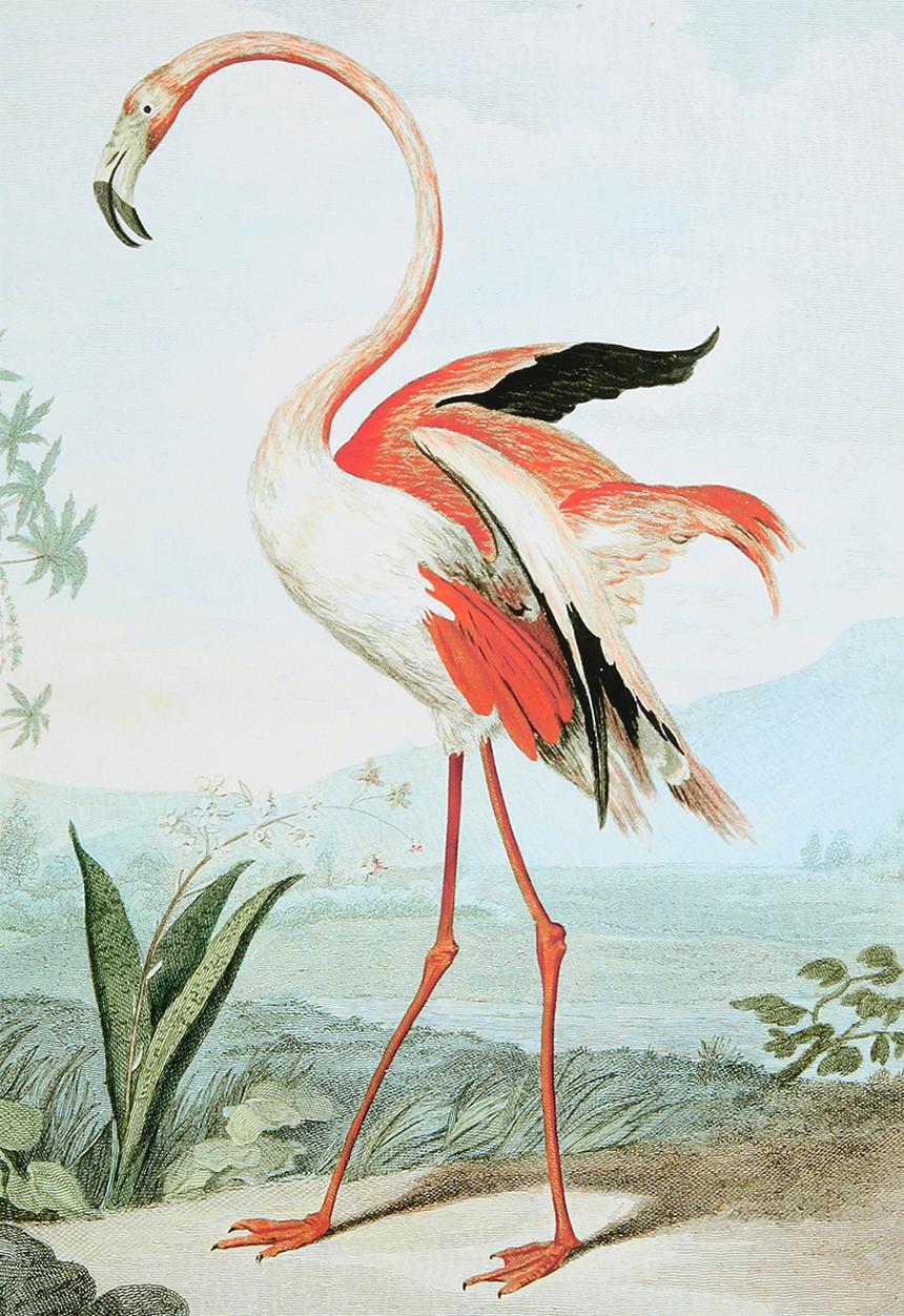 MJ Design Studio - The Flamingo Canvas Wall Art