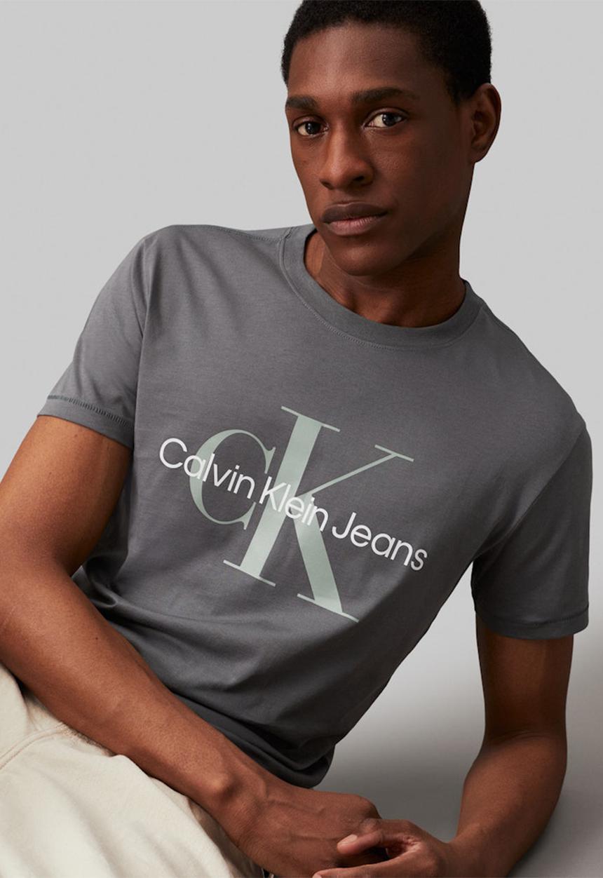 Calvin Klein - Seasonal monologo tee - endless grey