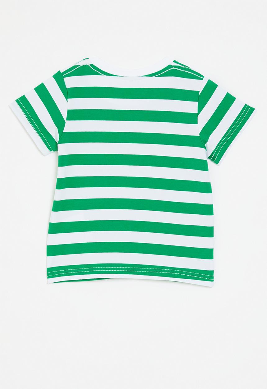 Pop Candy - Striped crew neck tee - green & white