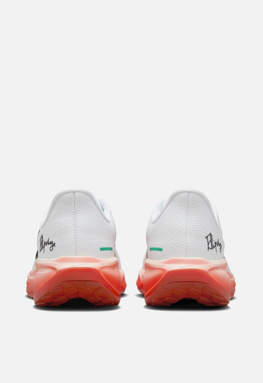 Nike - Air zoom pegasus 41 ek