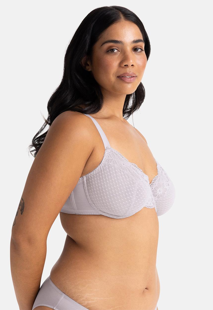 DORINA - Curvy Sierra 2 pack wired bra - lilac & blue