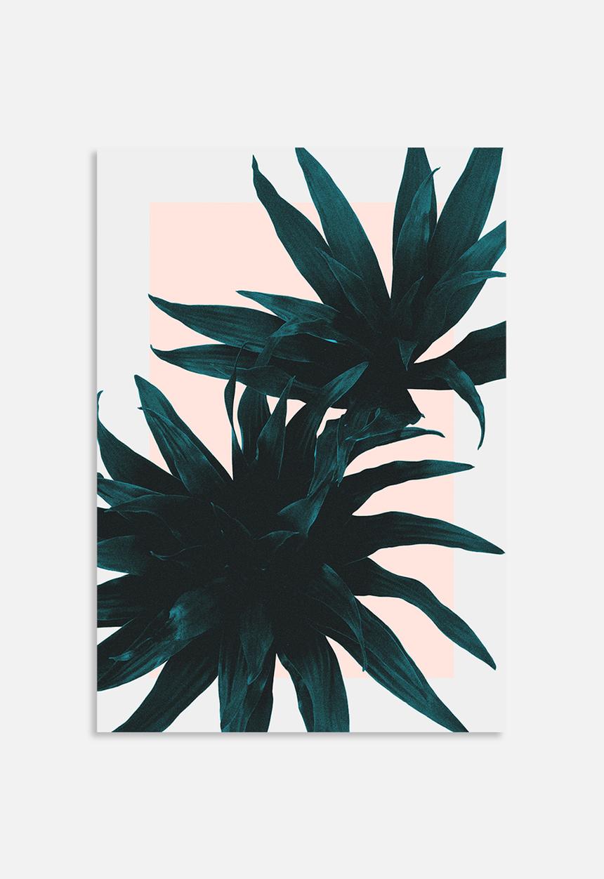 Hanna Kastl-Lungberg - Fly Away