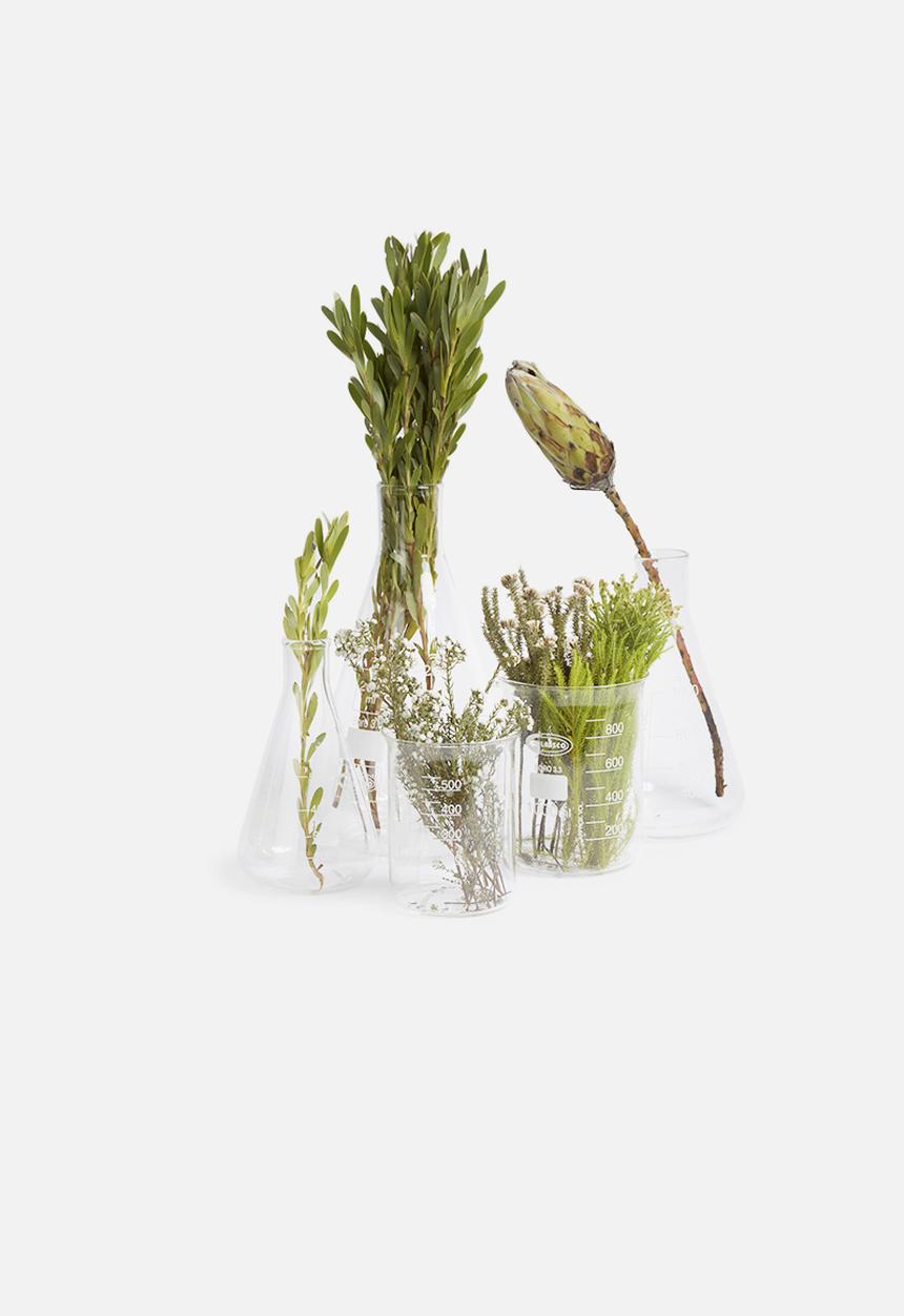 Glass co. - Low form beaker 