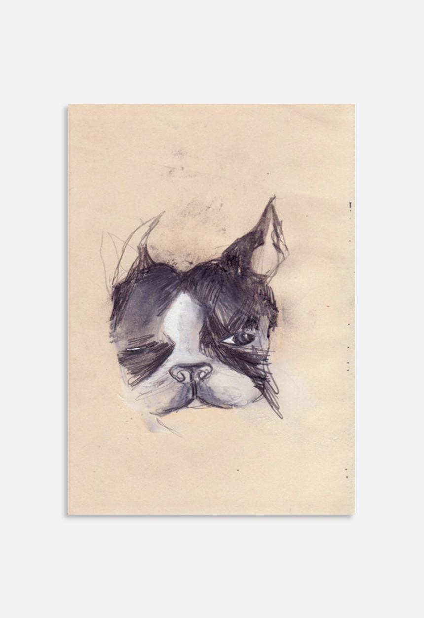 Me and Norman  - Wednesday the Boston Terrier