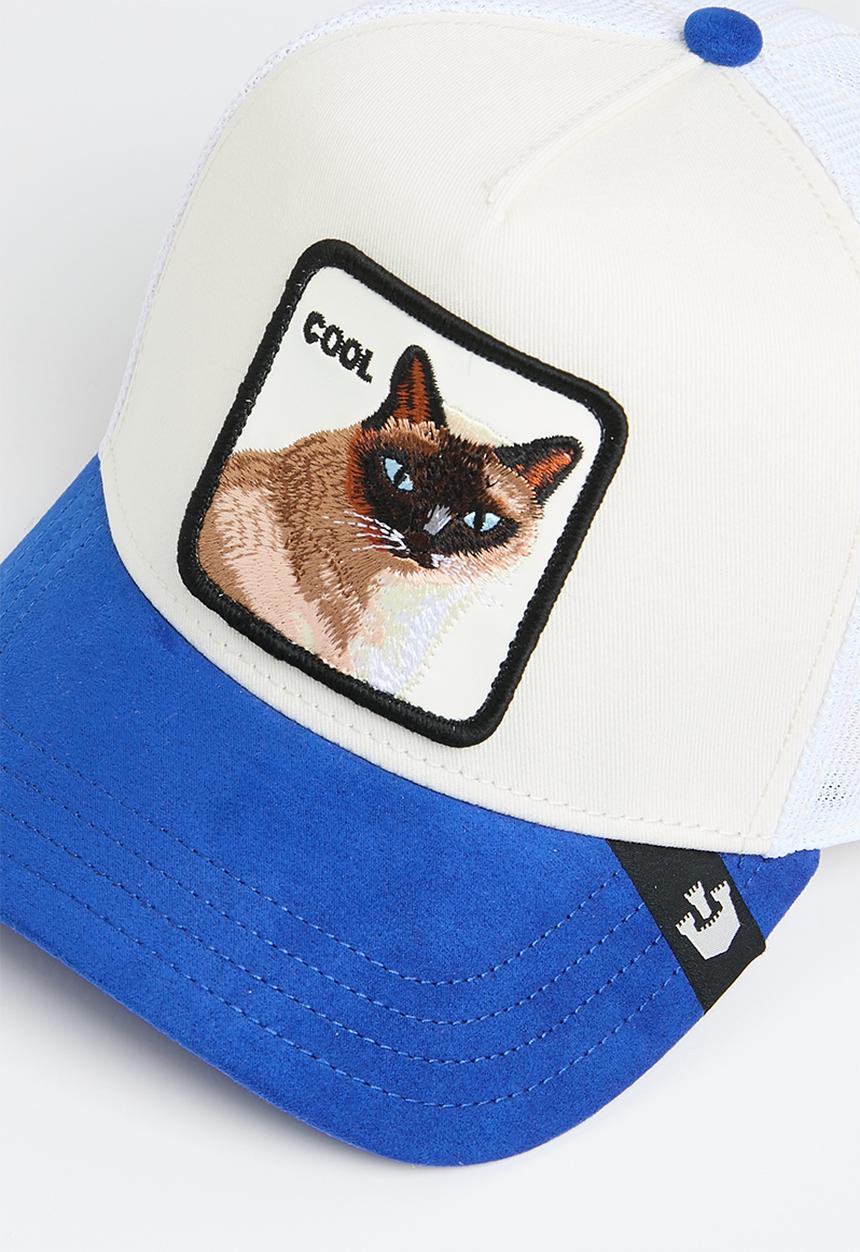 Goorin Bros. - Goorin v2 cool cat s24 - blue & cream