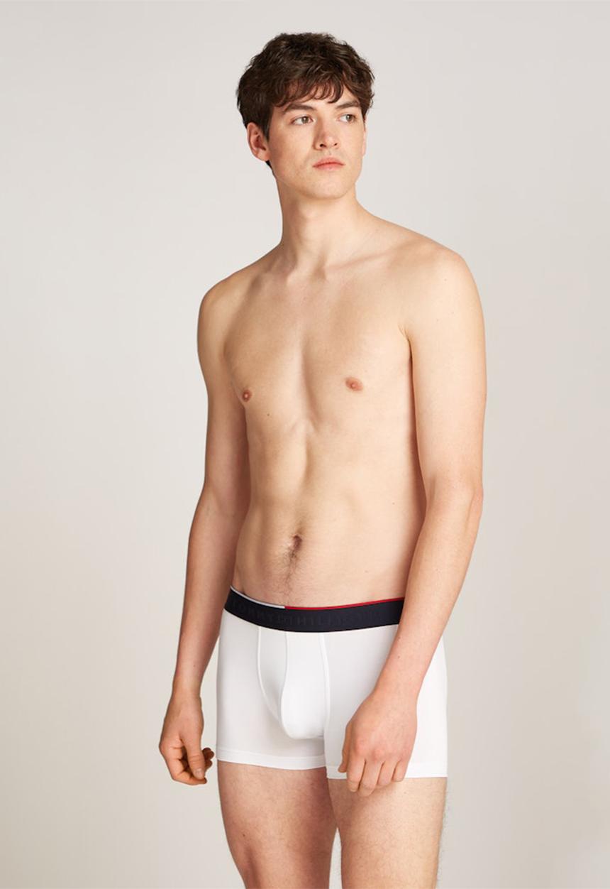 Tommy Hilfiger - 3 Pack Trunk - Multi
