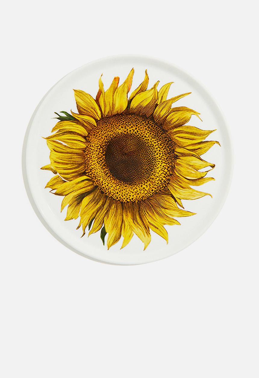H&M - Porcelain medium plate - white sunflower
