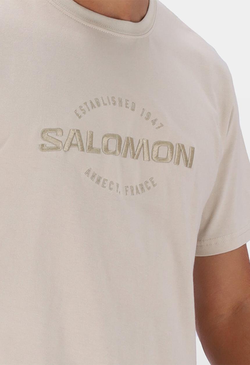 Salomon - Vision Ii Short Sleeve Tee - Pumice Stone