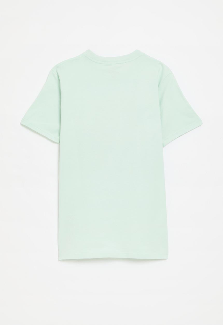 Billabong  - African clips short sleeve T-shirt destination - green tea
