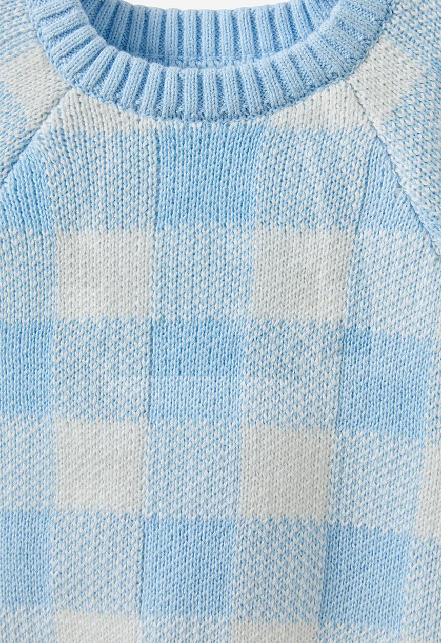 Cotton On - Organic raglan knit sweater - white water blue/buffalo check