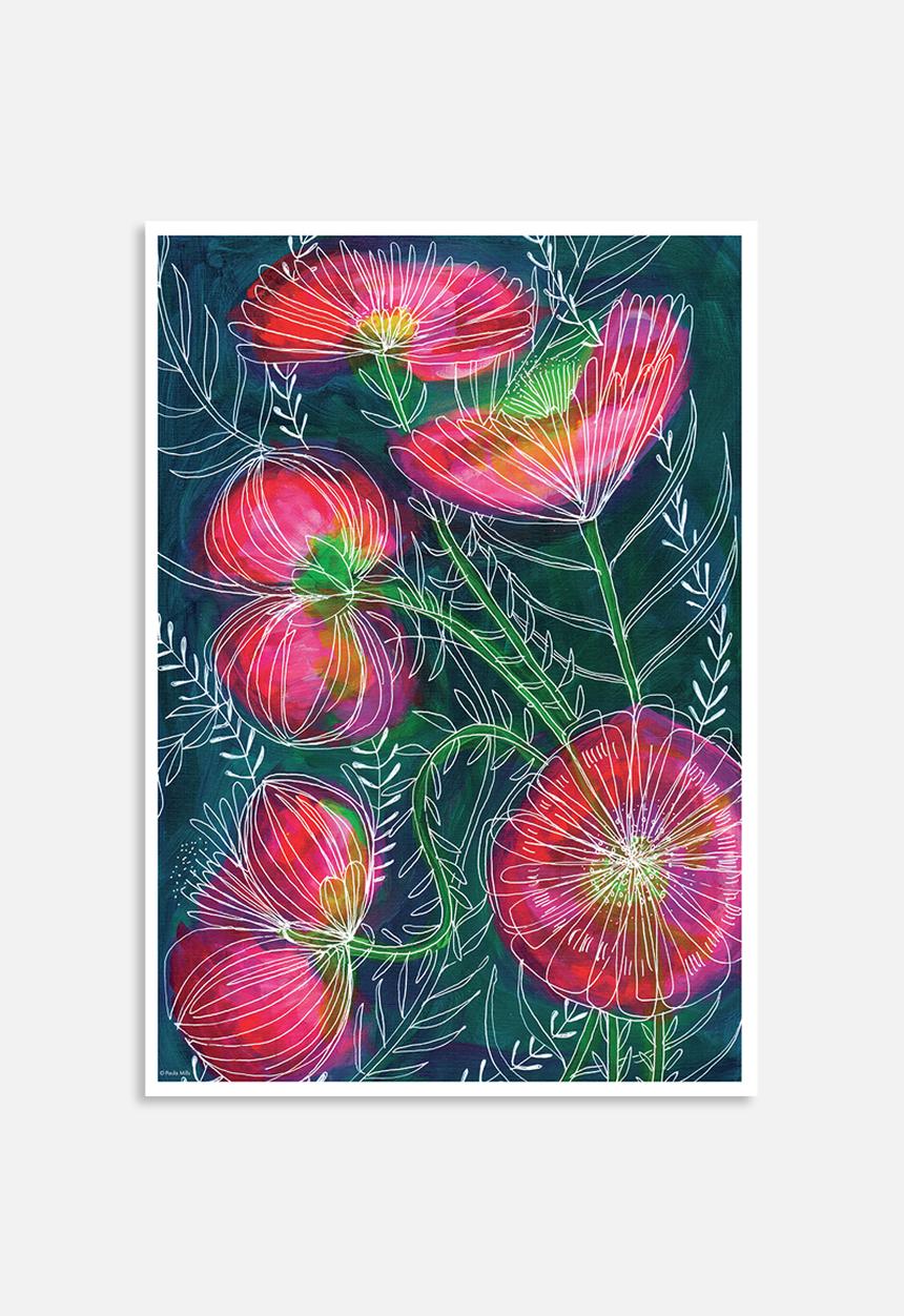 Sweet William - Always flowers