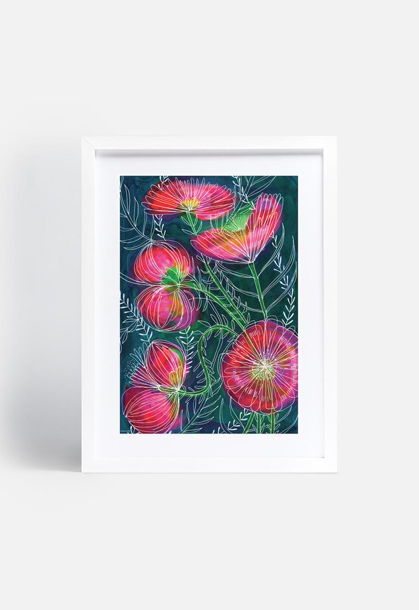 Sweet William - Always flowers