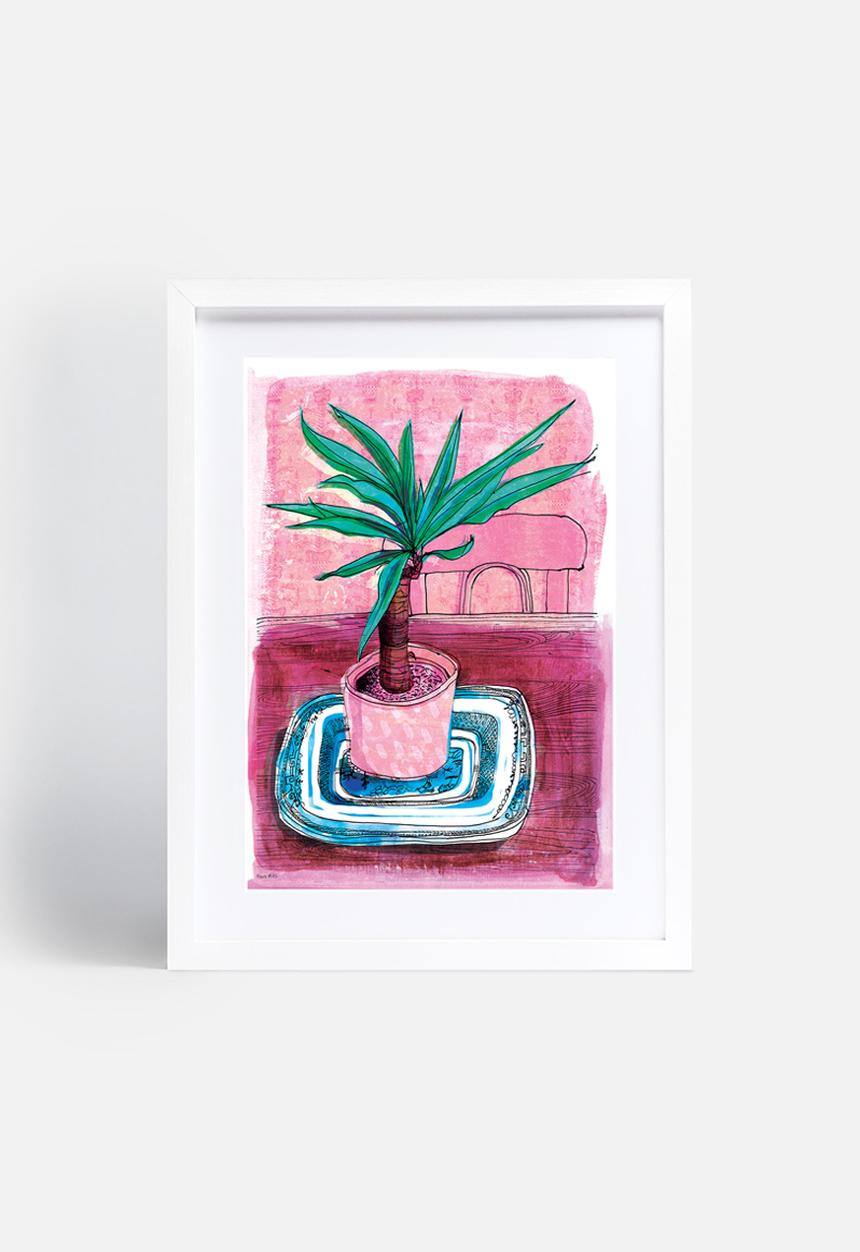 Sweet William - Little palm