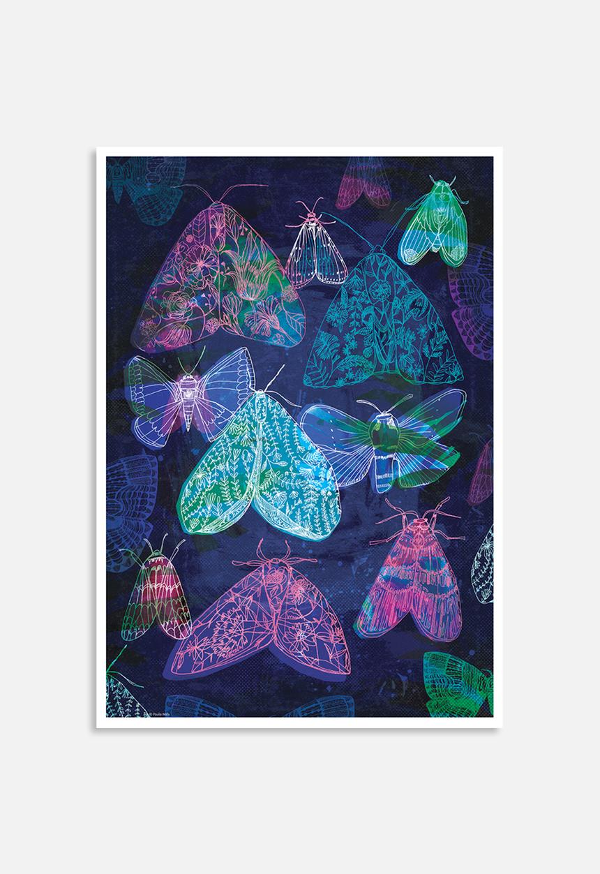 Sweet William - Floral night moths