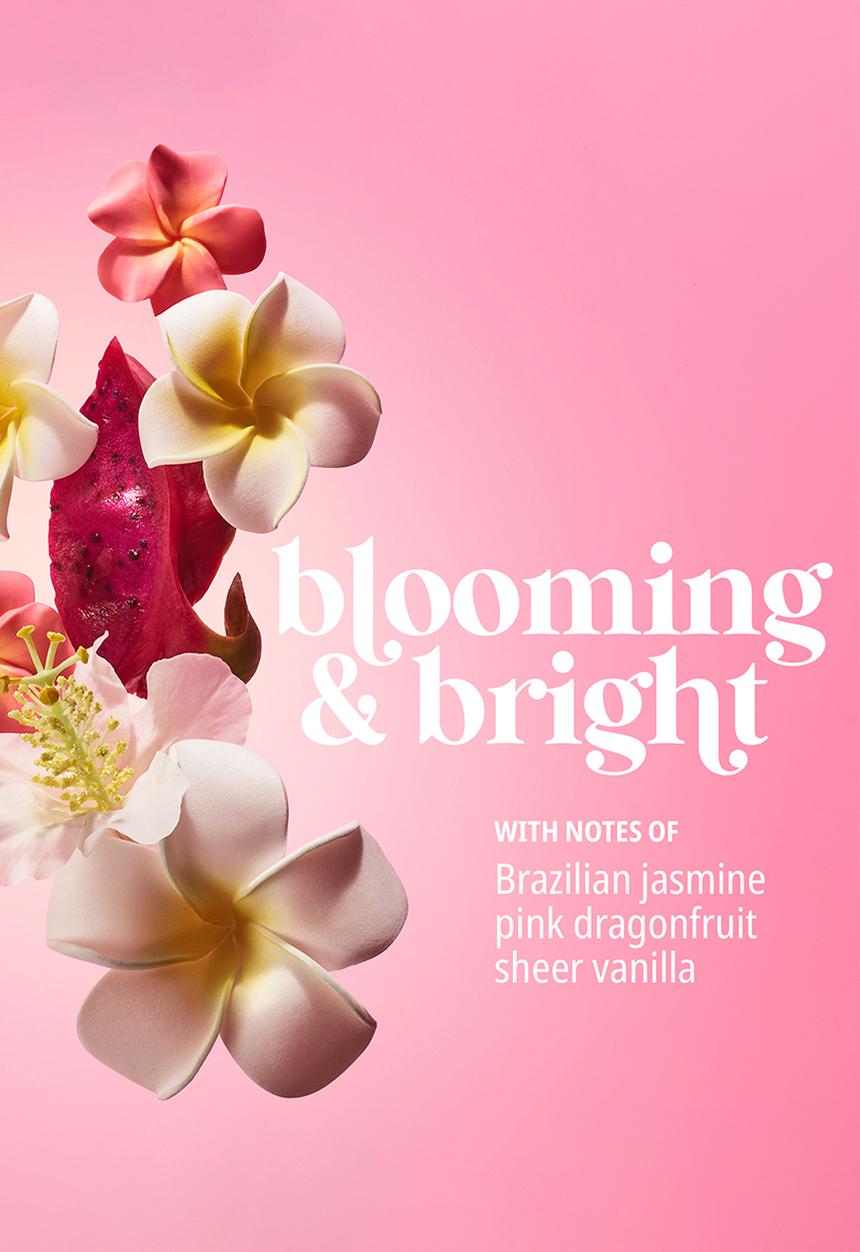 Sol de Janeiro - Beija Flor™ Elasti-Cream - 240ml