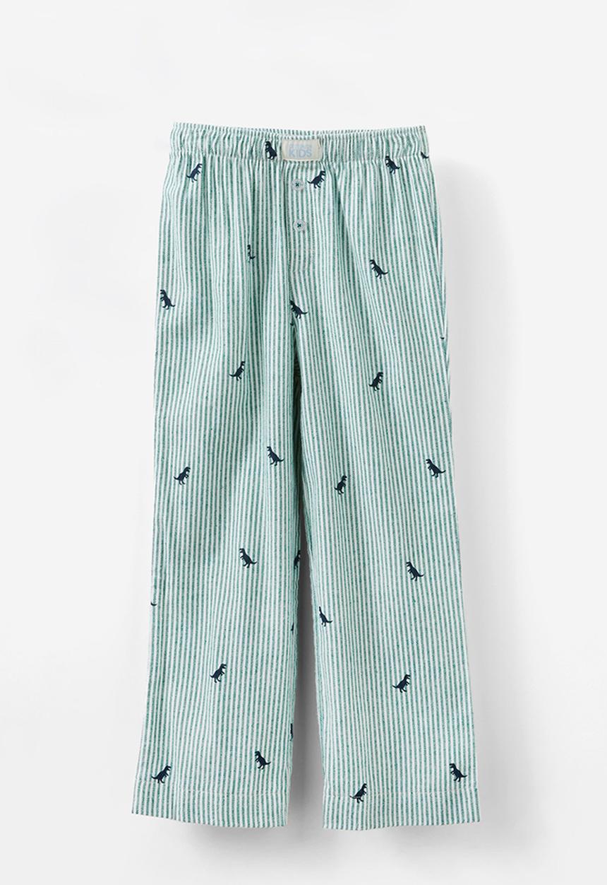 Cotton On - Leo long sleeve pyjama set - varsity green stripe/ dino