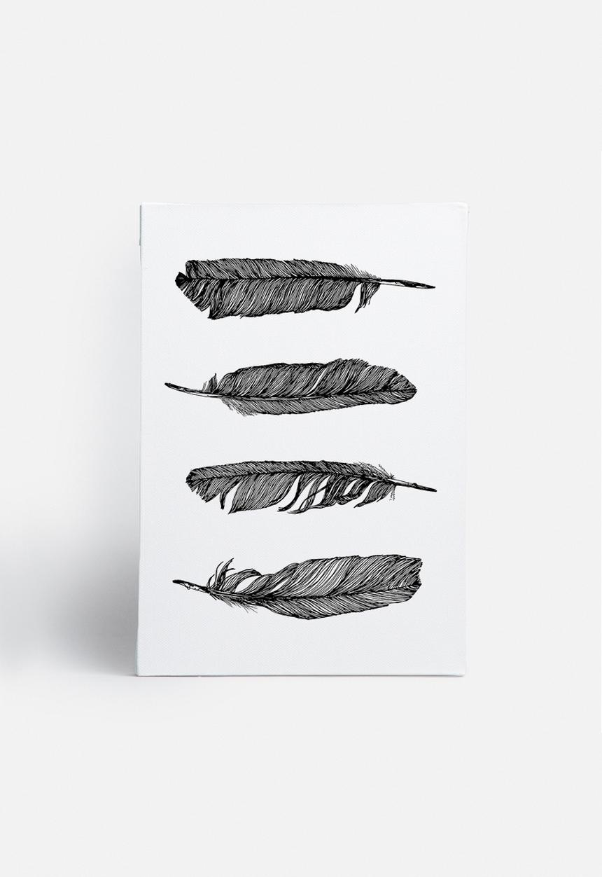 Vera Mladenovic - Feathers