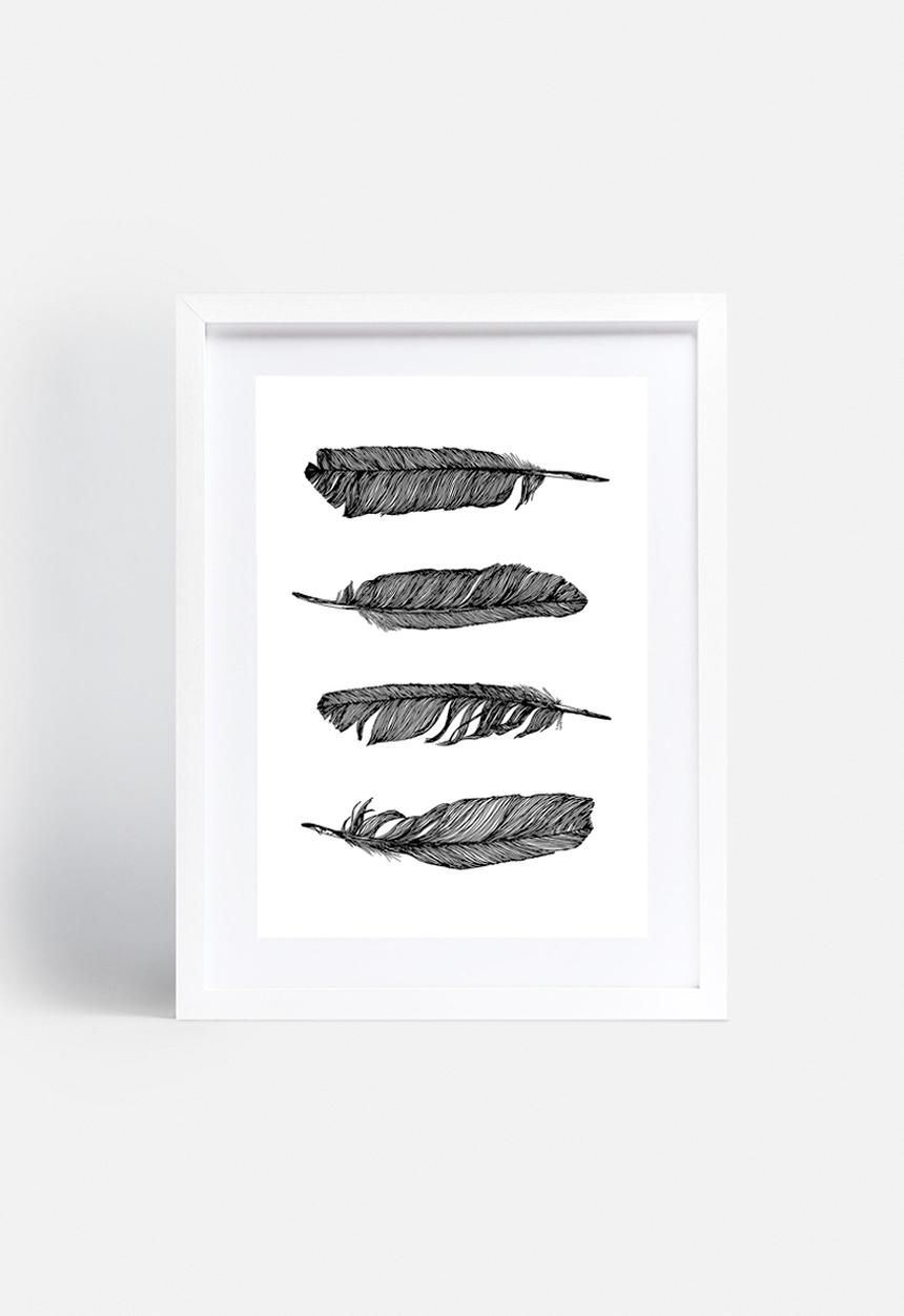 Vera Mladenovic - Feathers