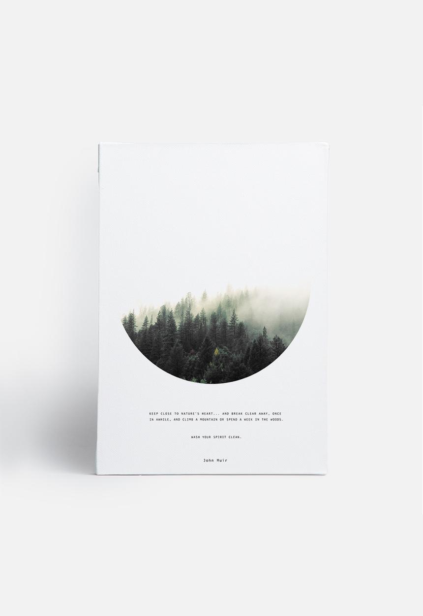 Vera Mladenovic - John Muir
