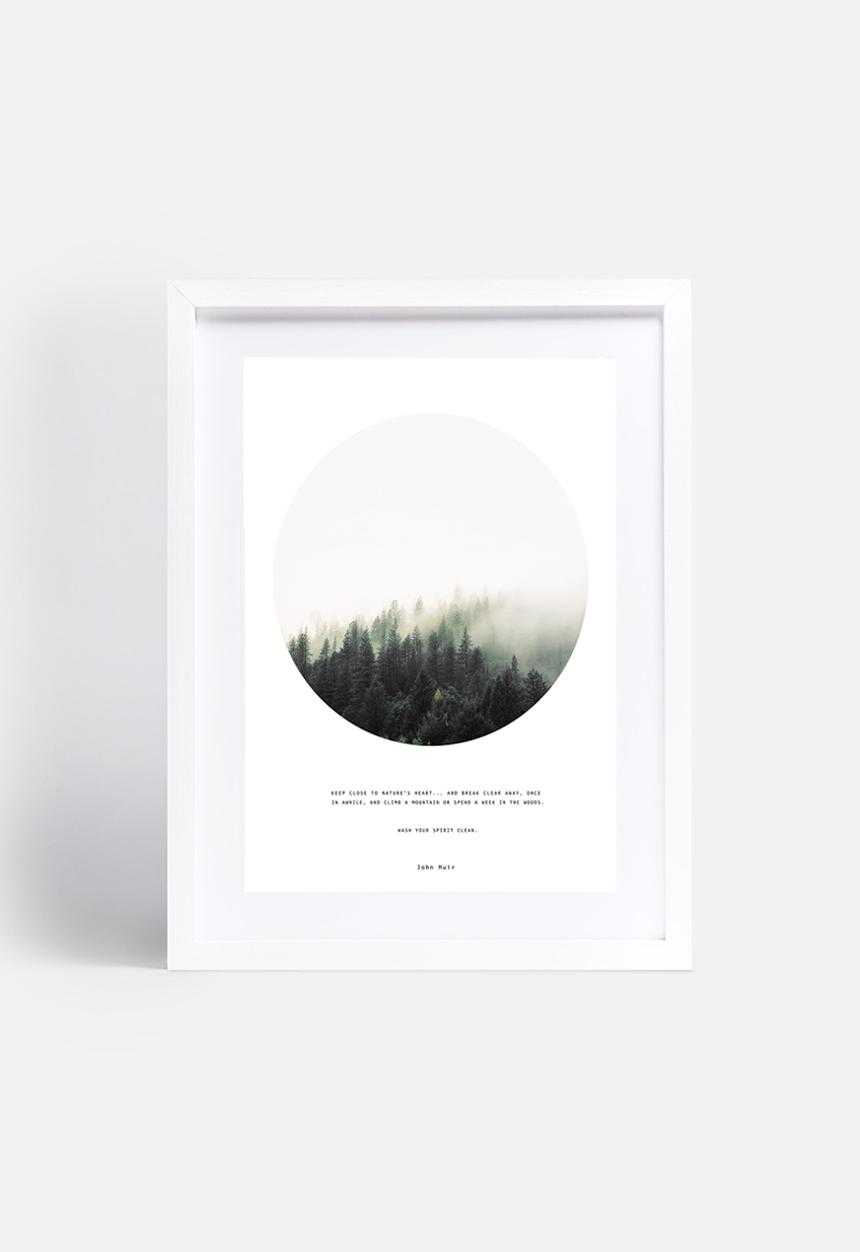 Vera Mladenovic - John Muir