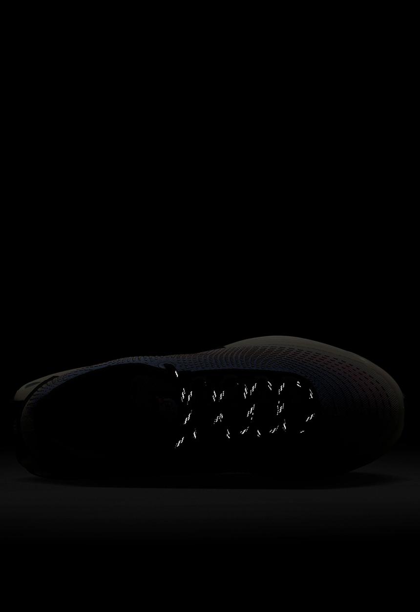 Nike - Air Max DN Premium