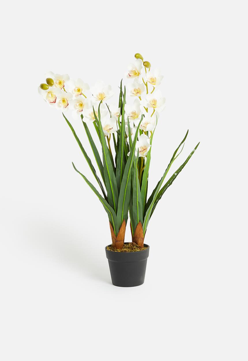 Sixth Floor - Orchid Artificial Plant - White