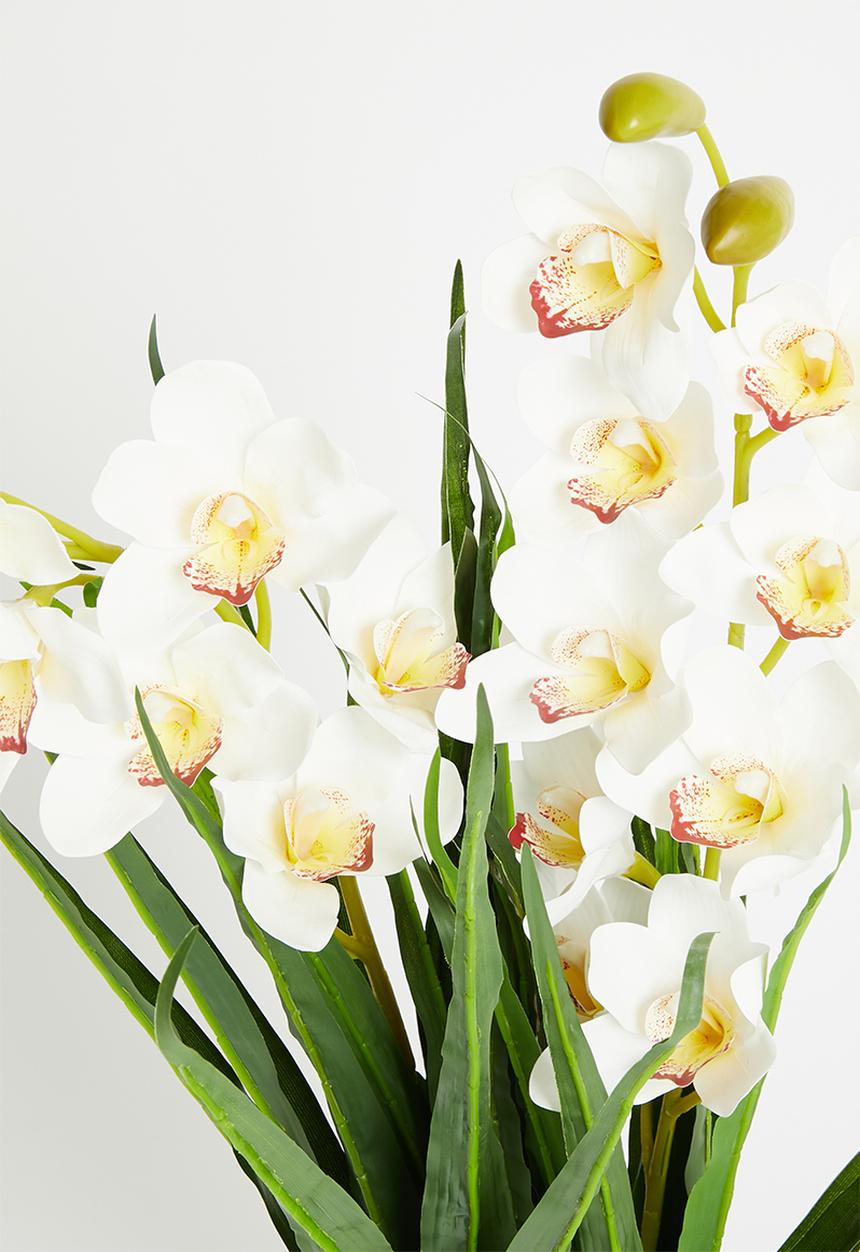 Sixth Floor - Orchid Artificial Plant - White