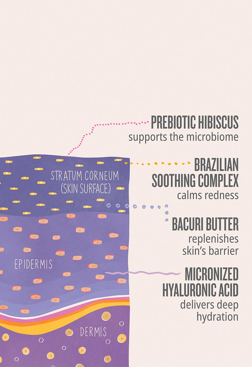 Sol de Janeiro - Delícia Drench™ Body Butter - 75ml