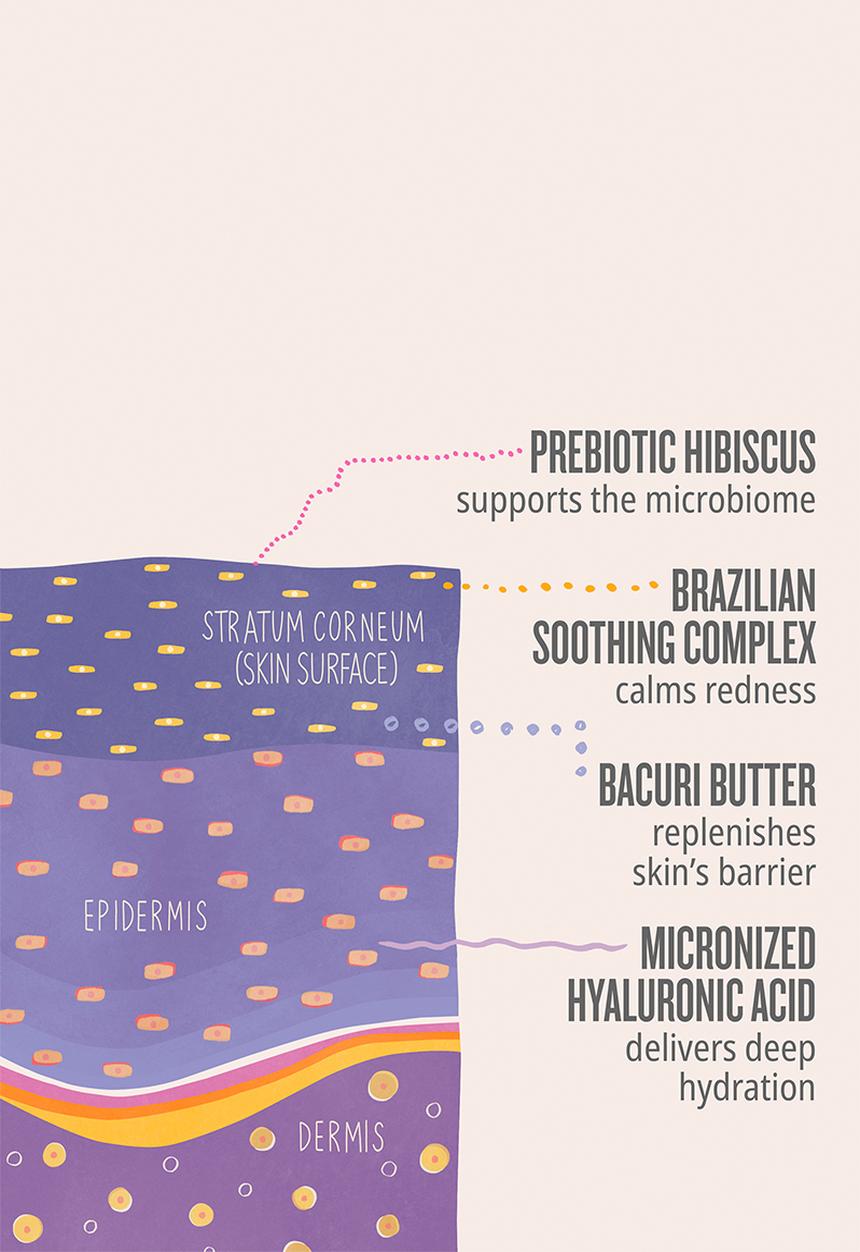 Sol de Janeiro - Delícia Drench™ Body Butter - 240ml