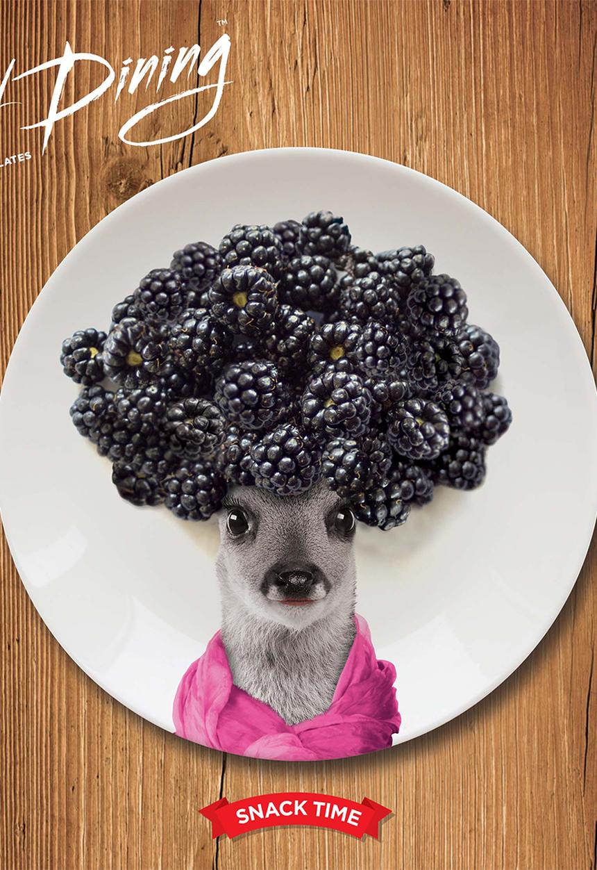 Mustard  - Wild dining