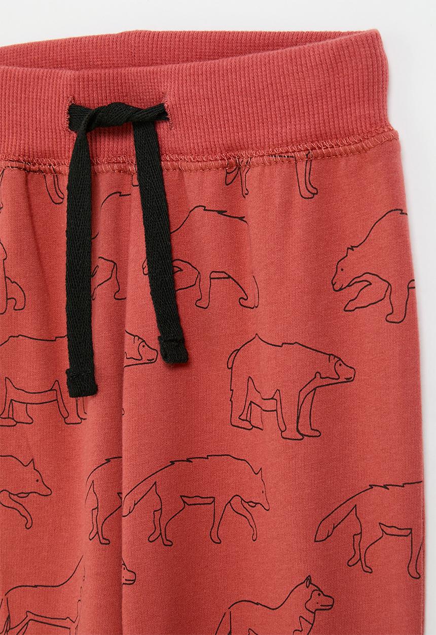 Pop Candy - Printed jogger - maroon