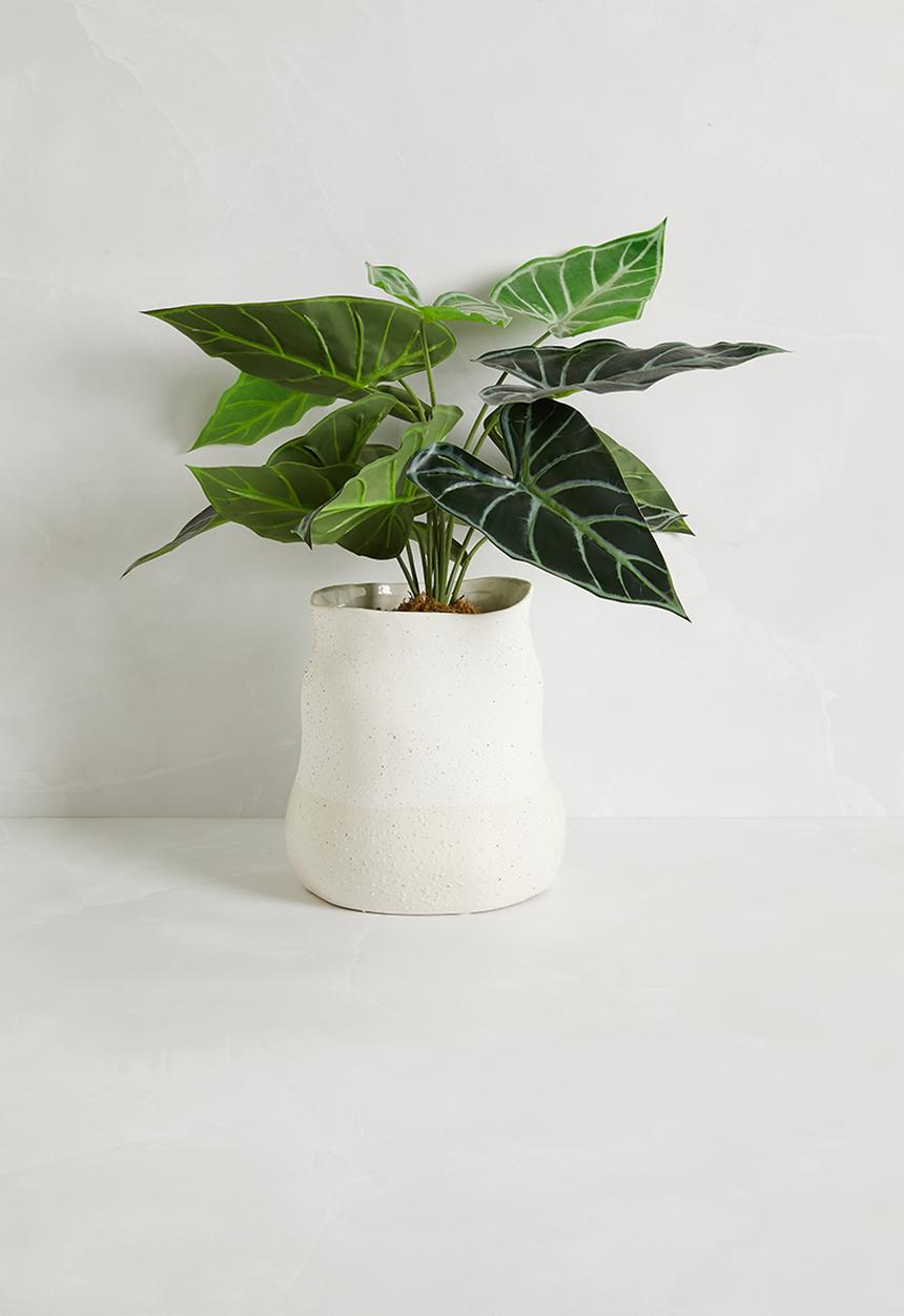 Sixth Floor - Opulent oasis vase - white
