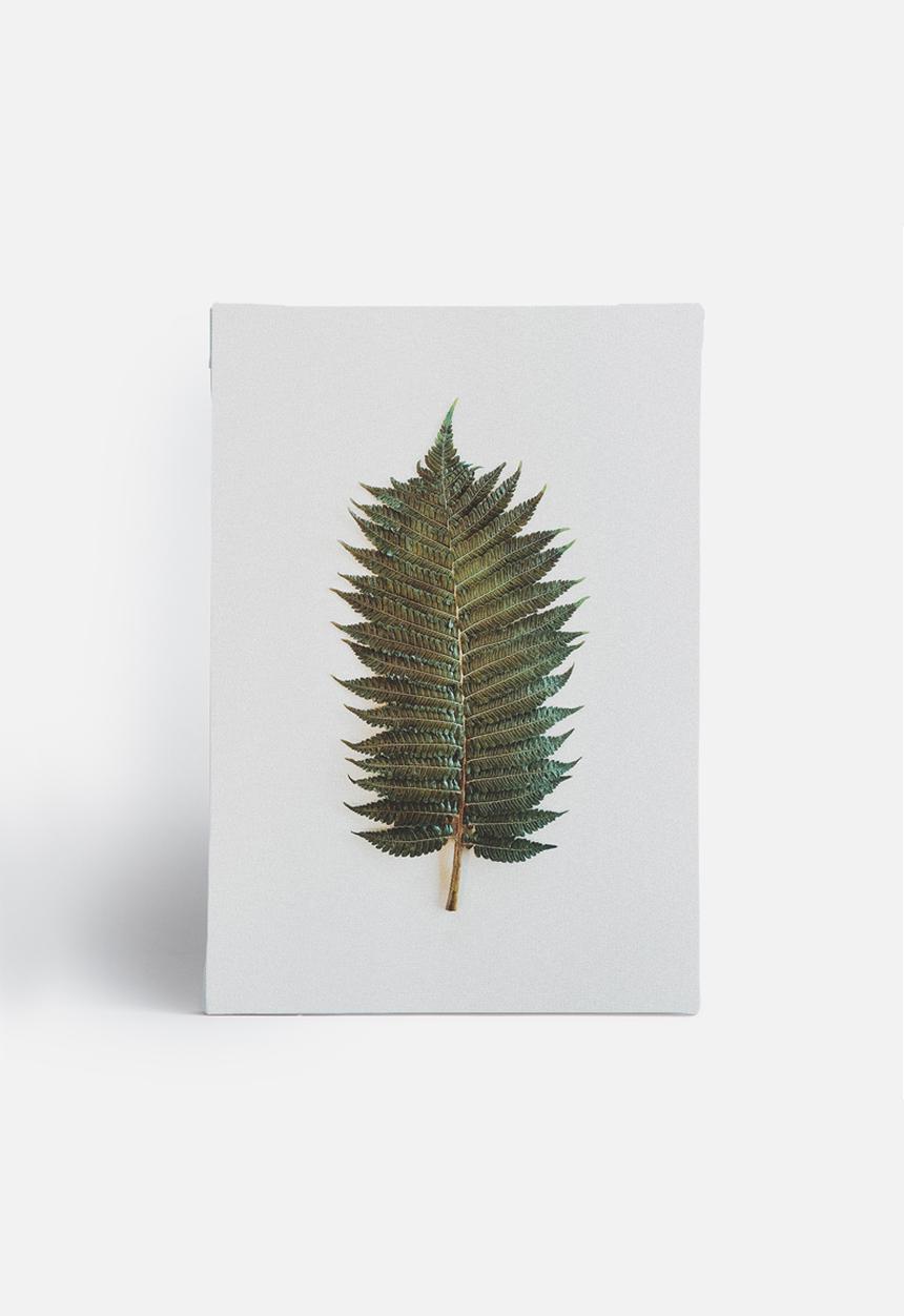 Sixth Floor - Fern 1